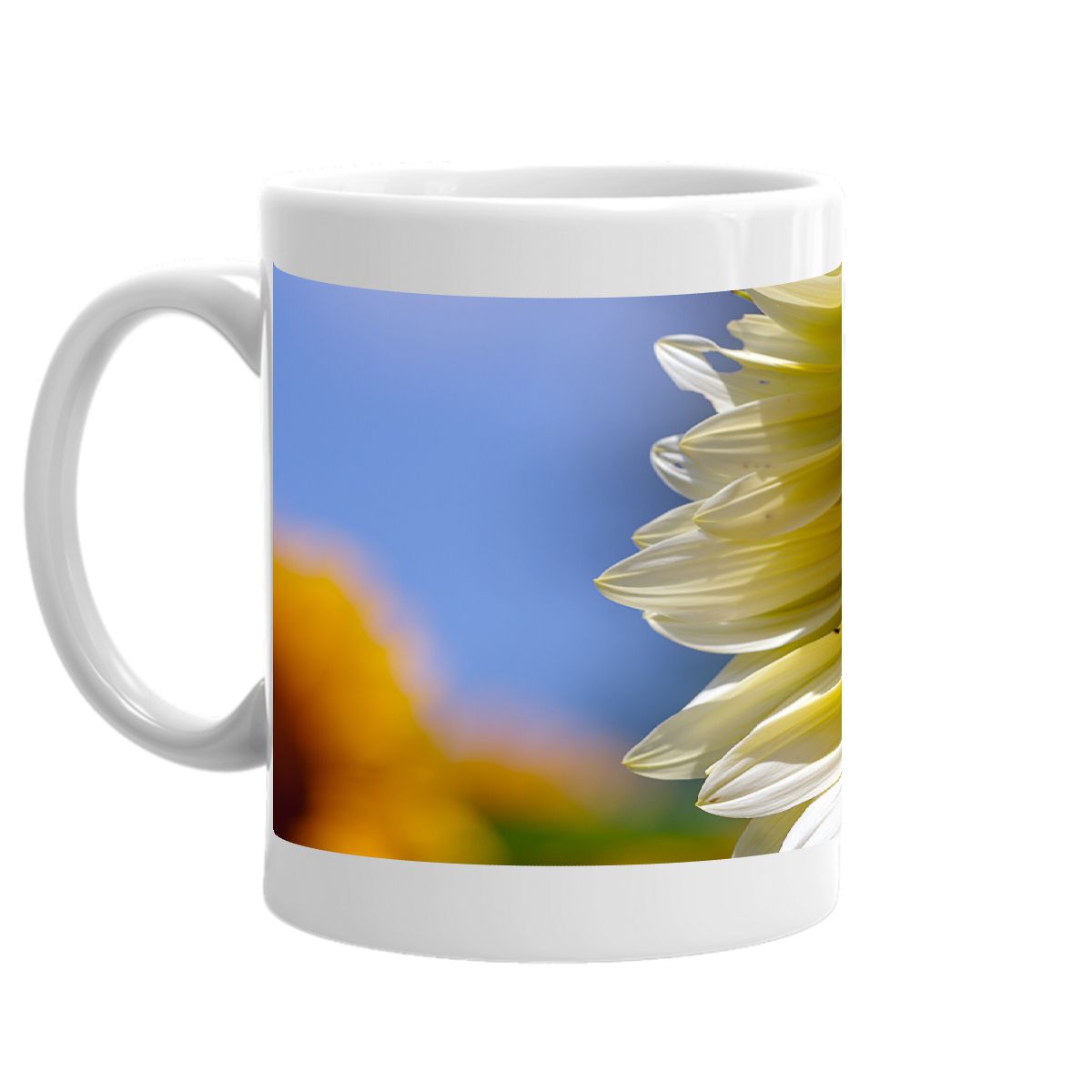 Pale Yellow Sunflower