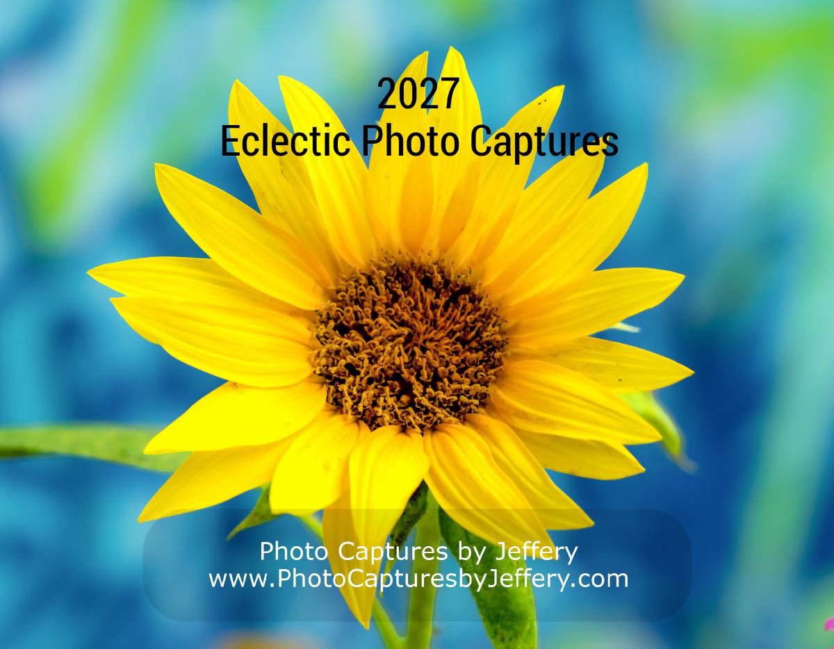 2027 Eclectic Photo Captures Calendar