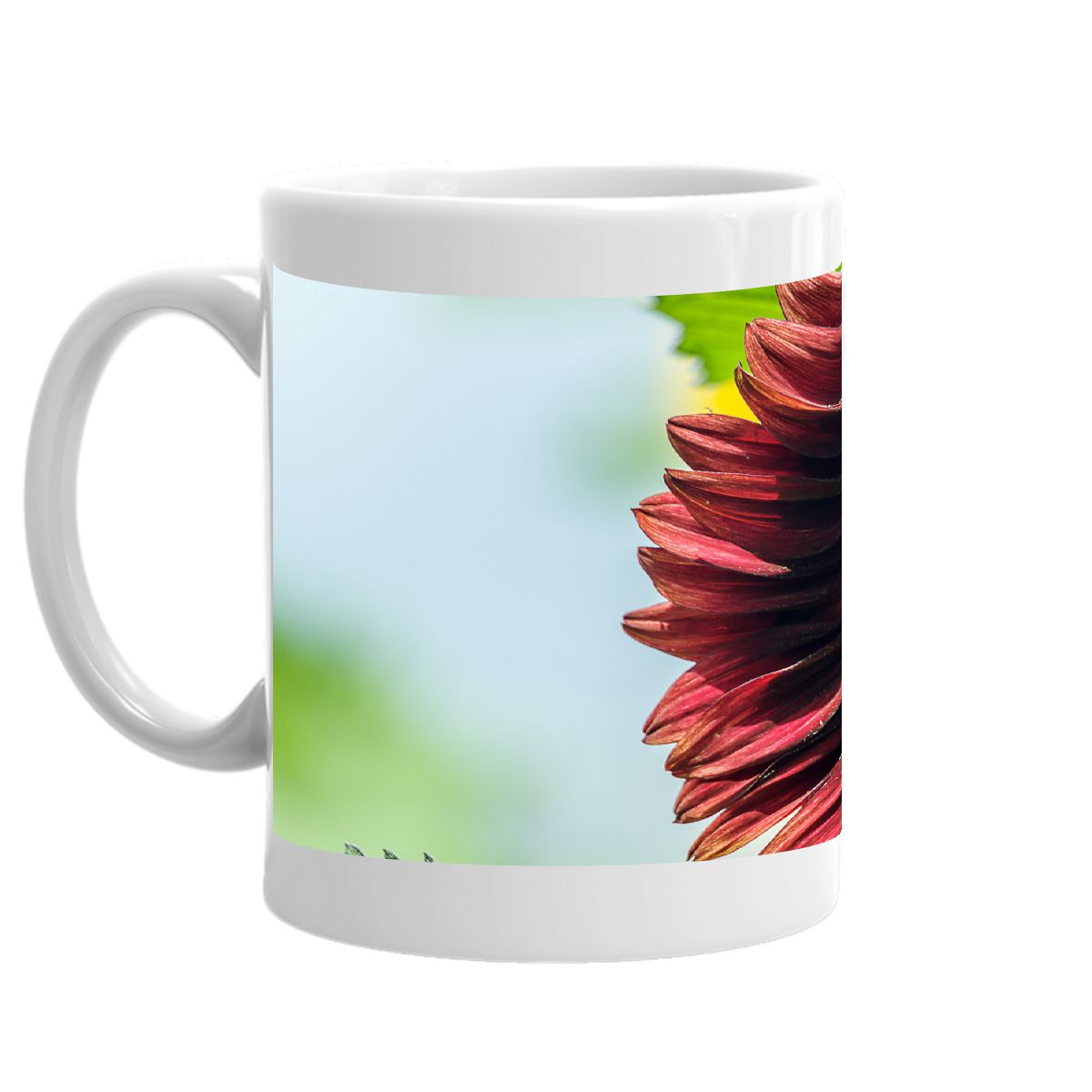 Elegant Dark Red Sunflower