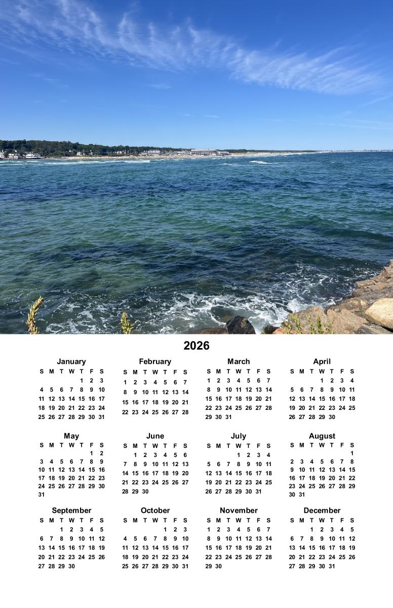 2026 poster calendar