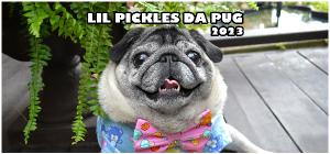 Lil Pickles Da Pug 2023 DESK Calendar