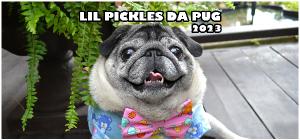 picklesdapug