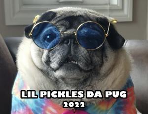 Lil Pickles Da Pug 2022