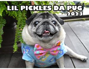 Lil Pickles Da Pug 2023