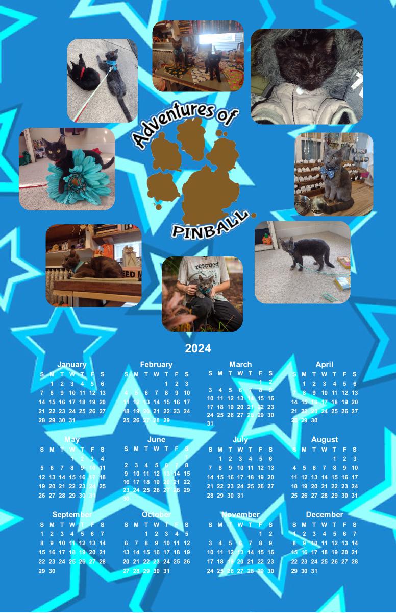 Pinball's Rescued Calendar