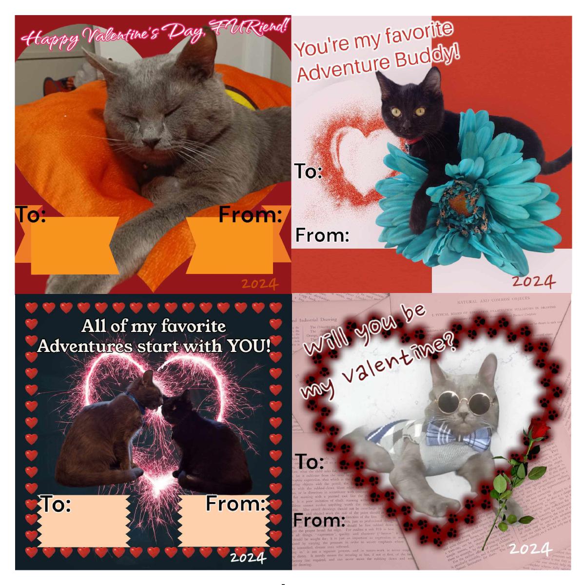 Valentine Cards