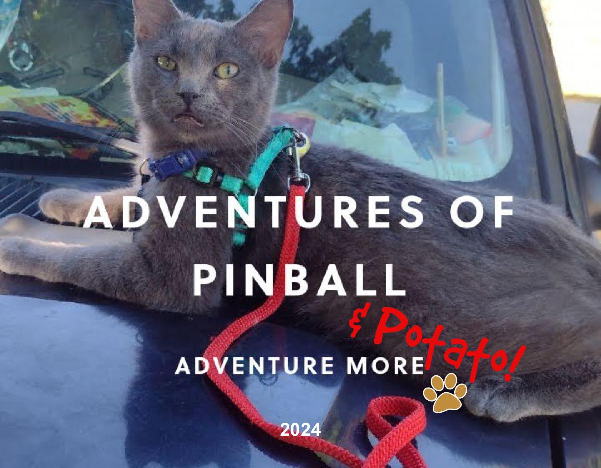 Adventures of Pinball 2024 Wall Calendar