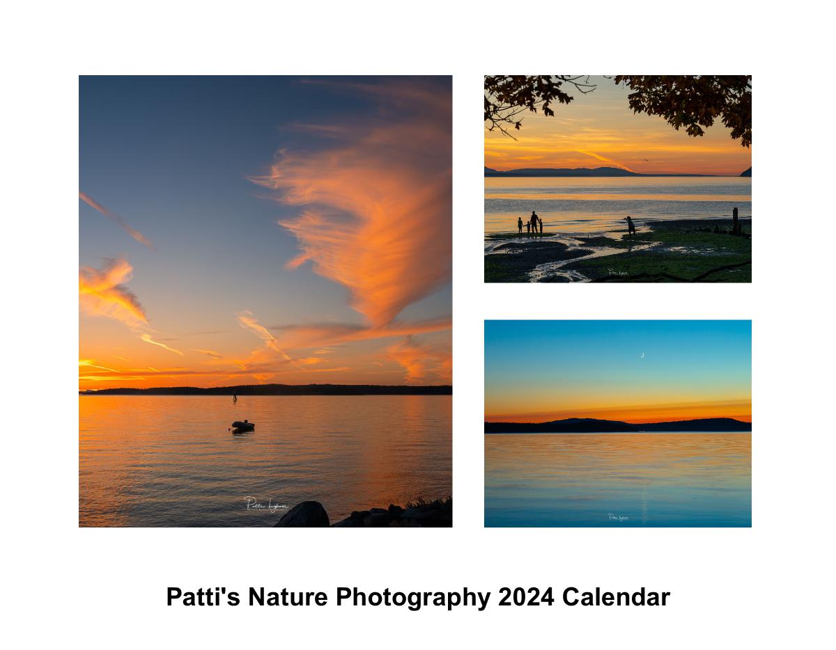 Patti's Nature Photography 2024 Calendar