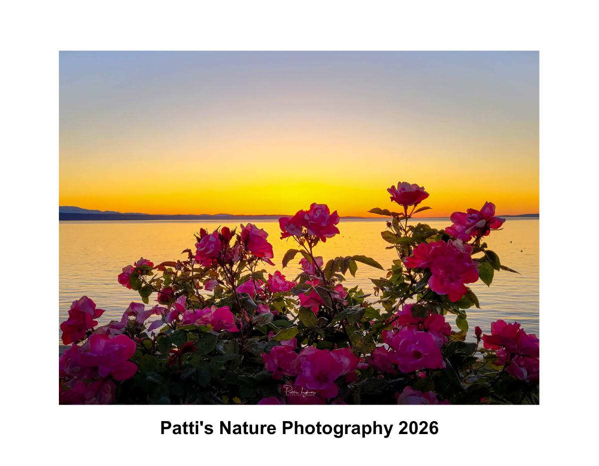 Patti's Nature Photography 2026 Calendar