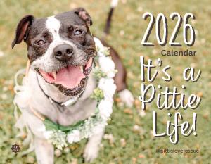It's a Pittie Life! 2026 Rescue Pit Bull Calendar