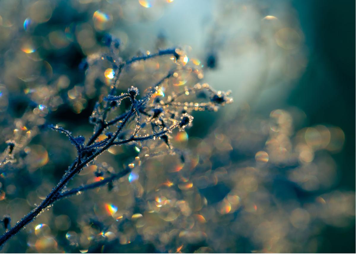 Sparkling Lights