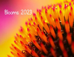 Blooms 2021