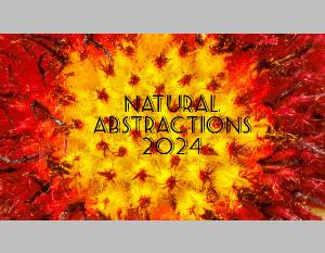 Natural Abstractions