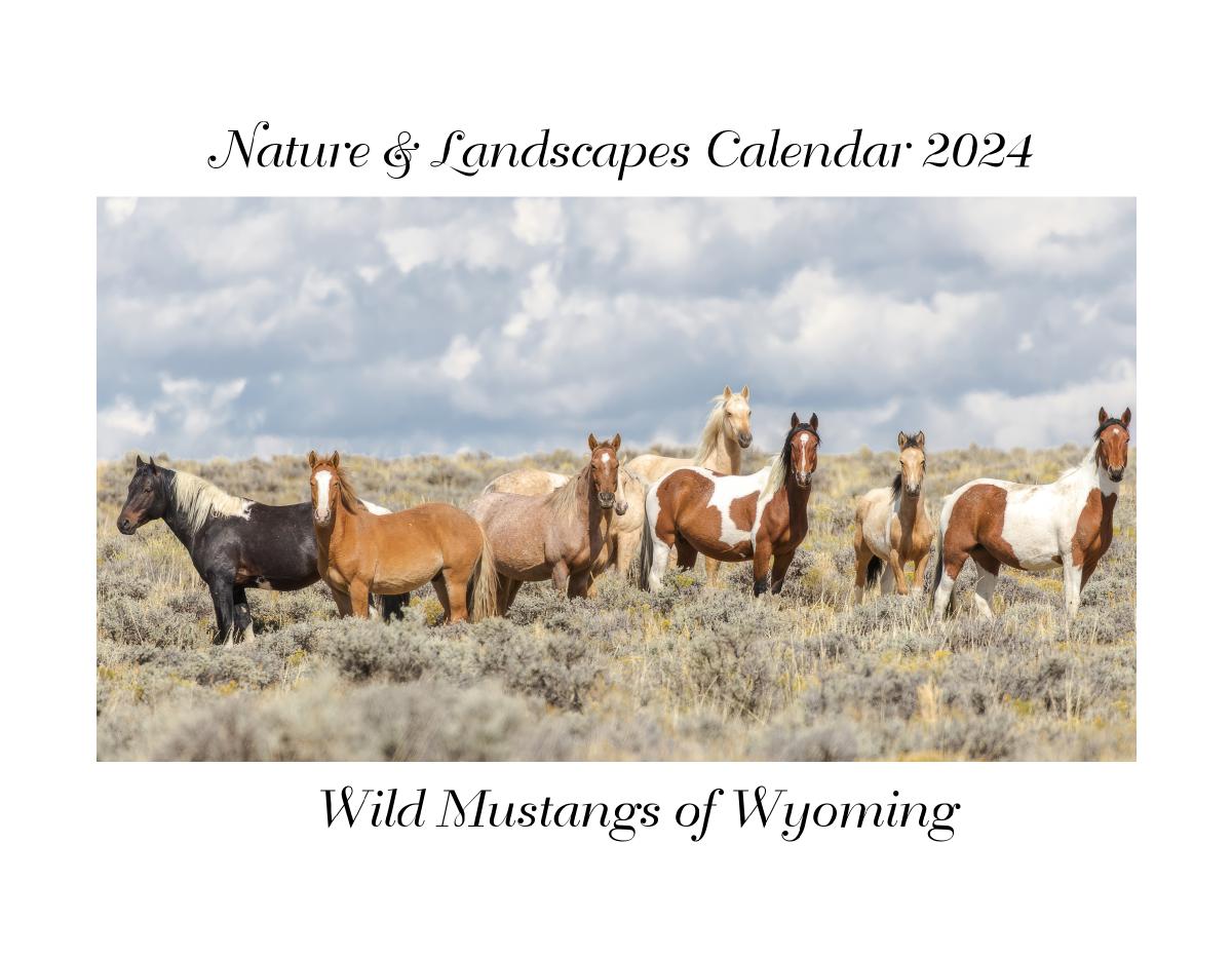 Nature & Landscape Calendar 2024