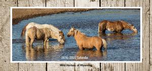 Nature Desk Calendar