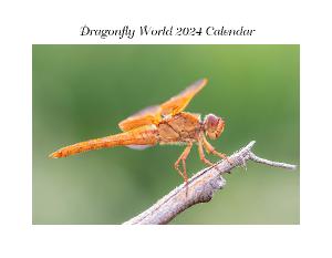 Dragonfly World 2024 Calendar