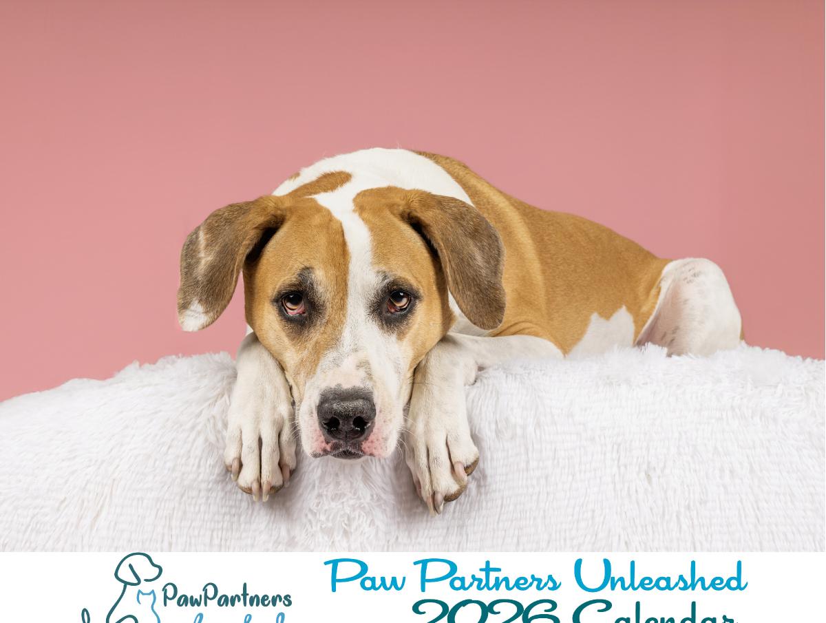 2026 Paw Partners Unleashed Calendar