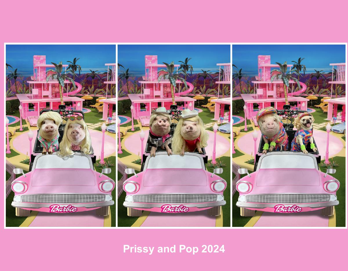 Prissy and Pop 2024