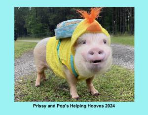 Prissy and Pop's Helping Hooves 2024