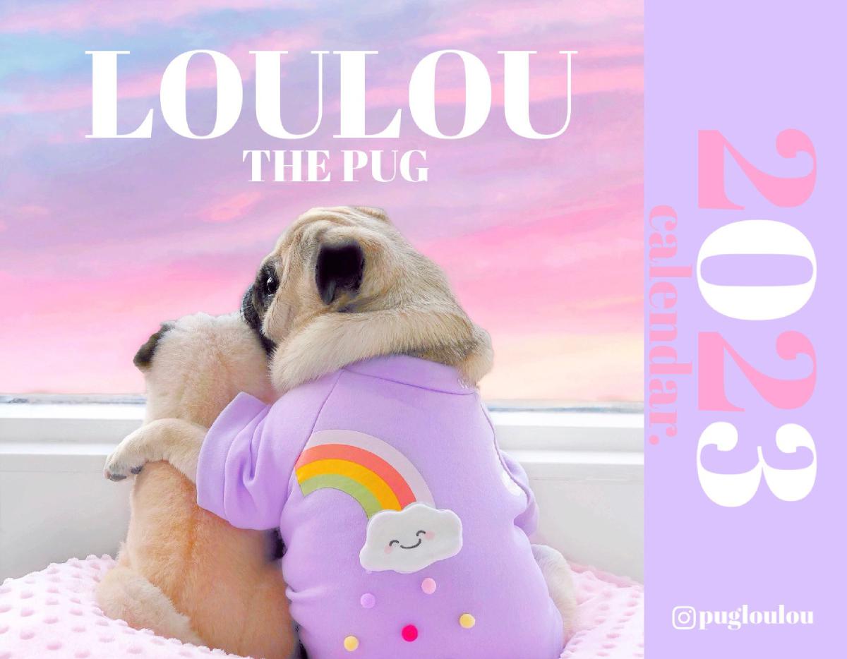 Loulou the Pug 2023 Calendar | Create Photo Calendars
