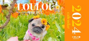 Loulou the Pug 2024 Desk Calendar