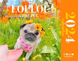 Loulou the Pug 2024 Wall Calendar