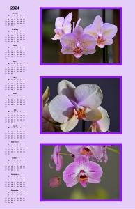 Orchids Poster Calendar
