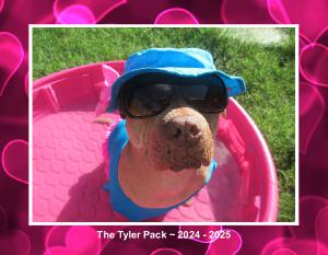 The Tyler Pack 2024 - 2025