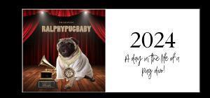 Ralphy Pug Baby 2024 Desk Calendar