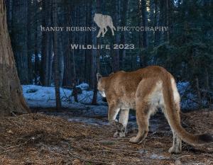 Randy Robbins Photography Wildlife 2023 Calendar