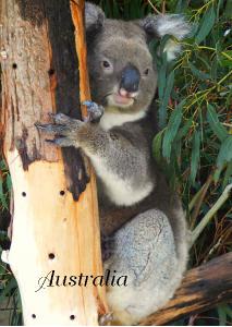 Australia 1