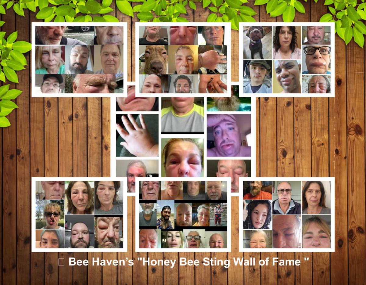 Bee Haven’s, Bee Sting Wall of Fame Calendar 202