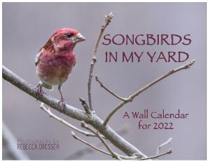 Songbirds 2022 Calendar