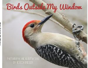 Bird Photography Book