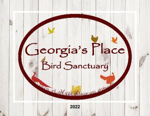 Georgia's Place Bird Sanctuary 2022 Calendar