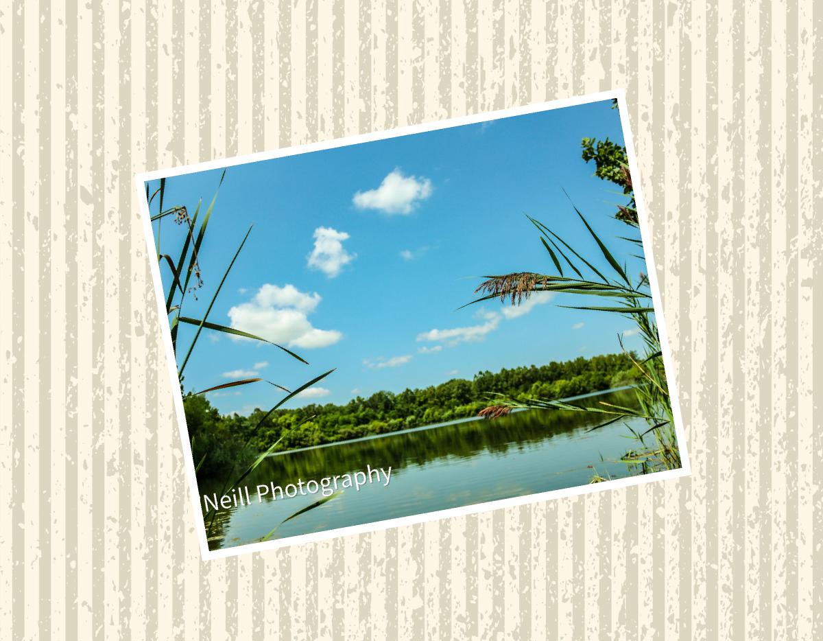 Indiana Backroads: A Season of Wonder