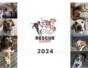 Rescue Coop 2024 Calendar