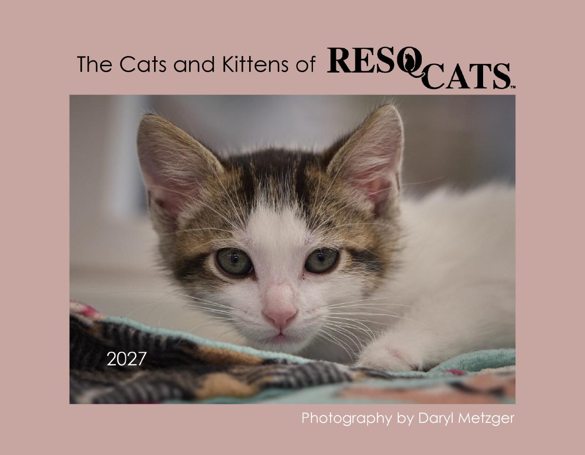 ResQCats 2027