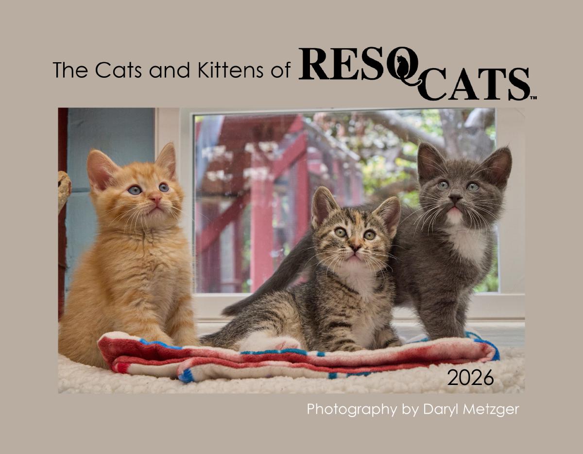 ResQCats 2026