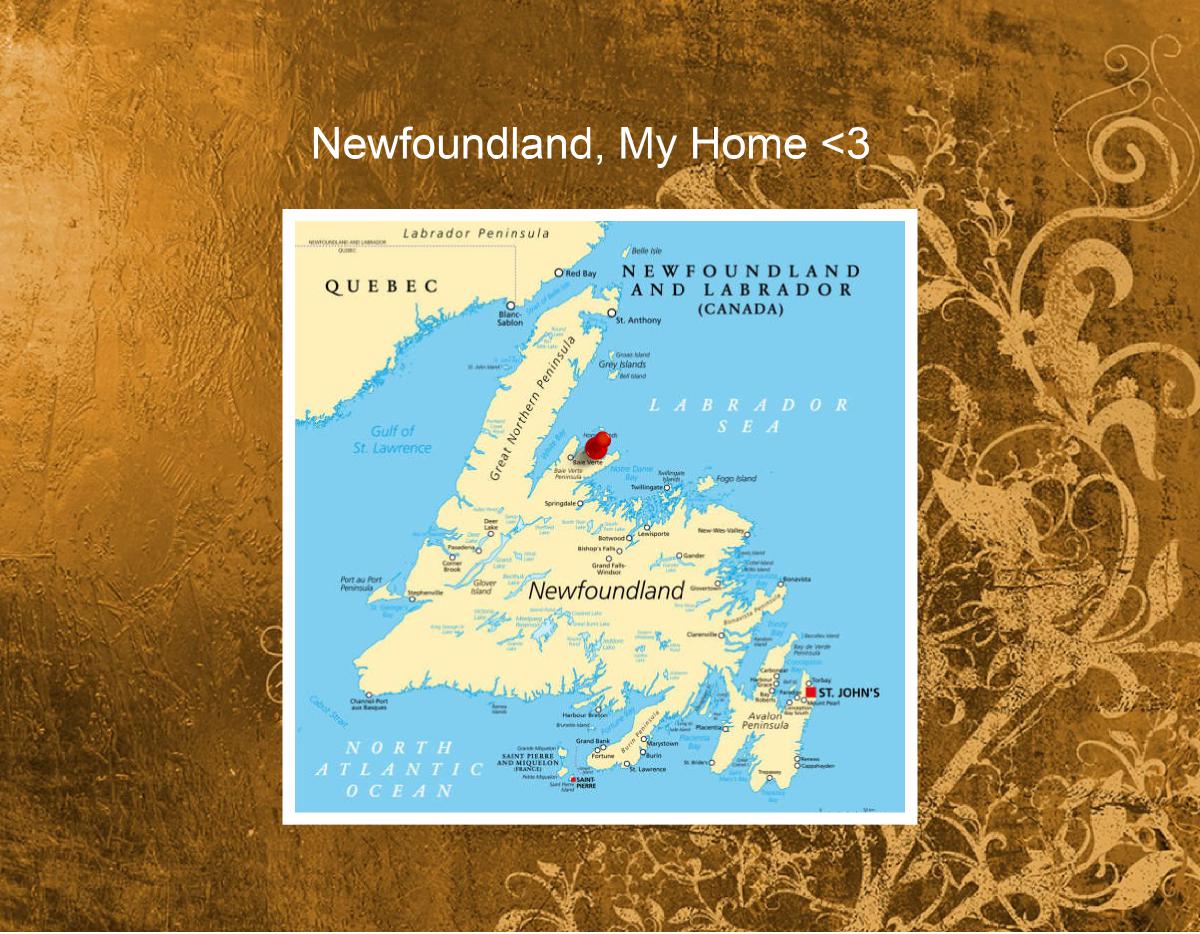 Newfoundland my Home
