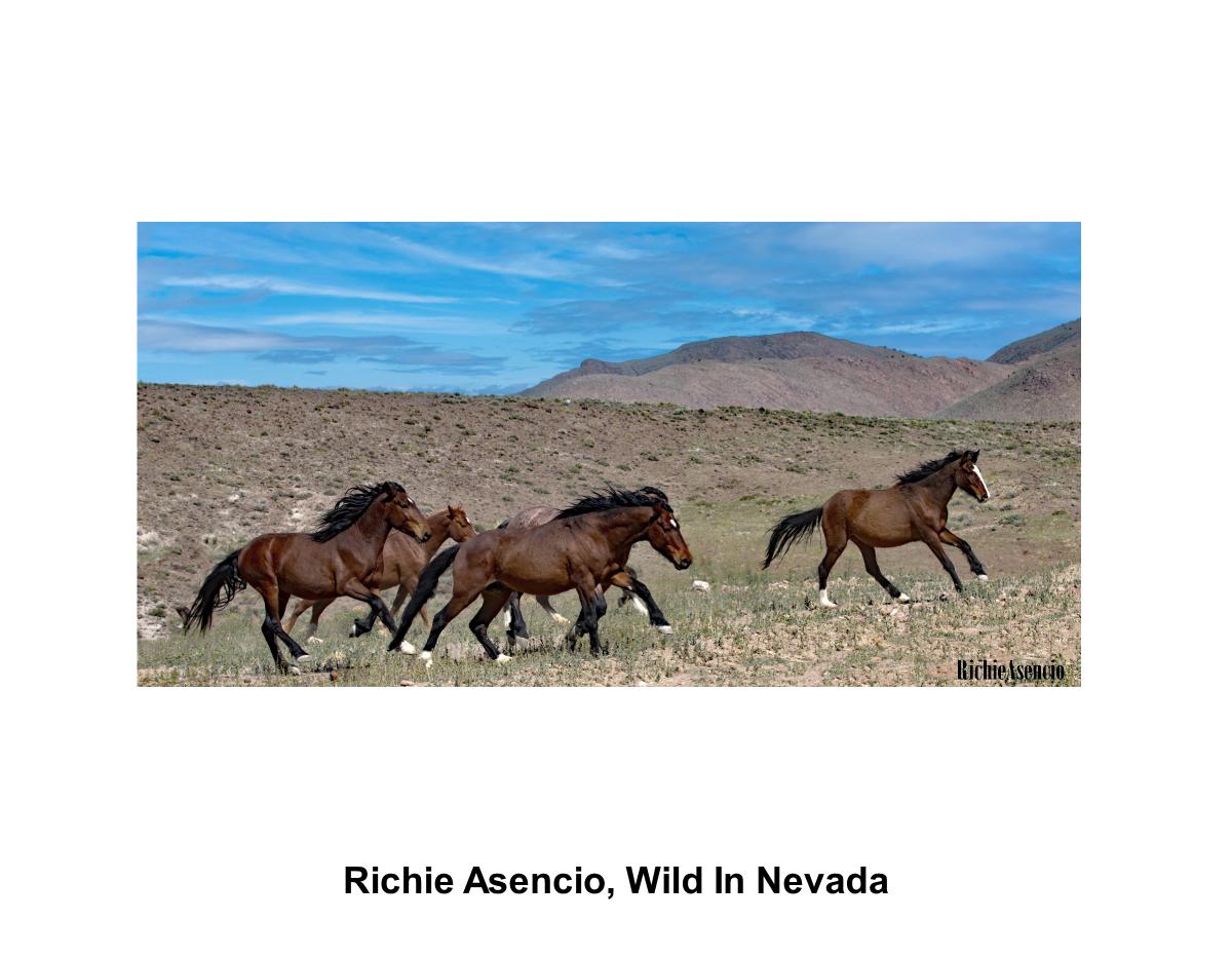 Richie Asencio Wild In Nevada 03