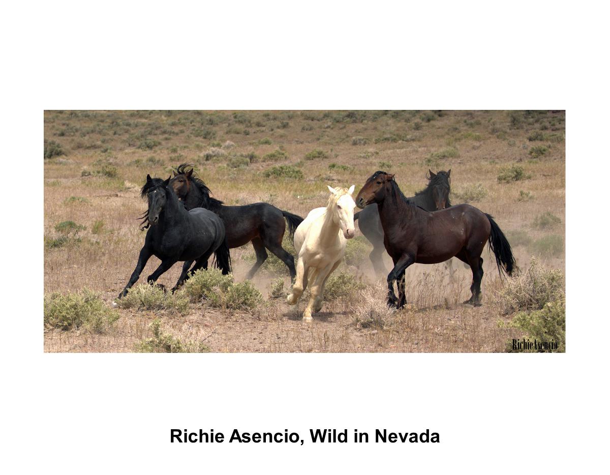 Richie Asencio, Wild In Nevada 01