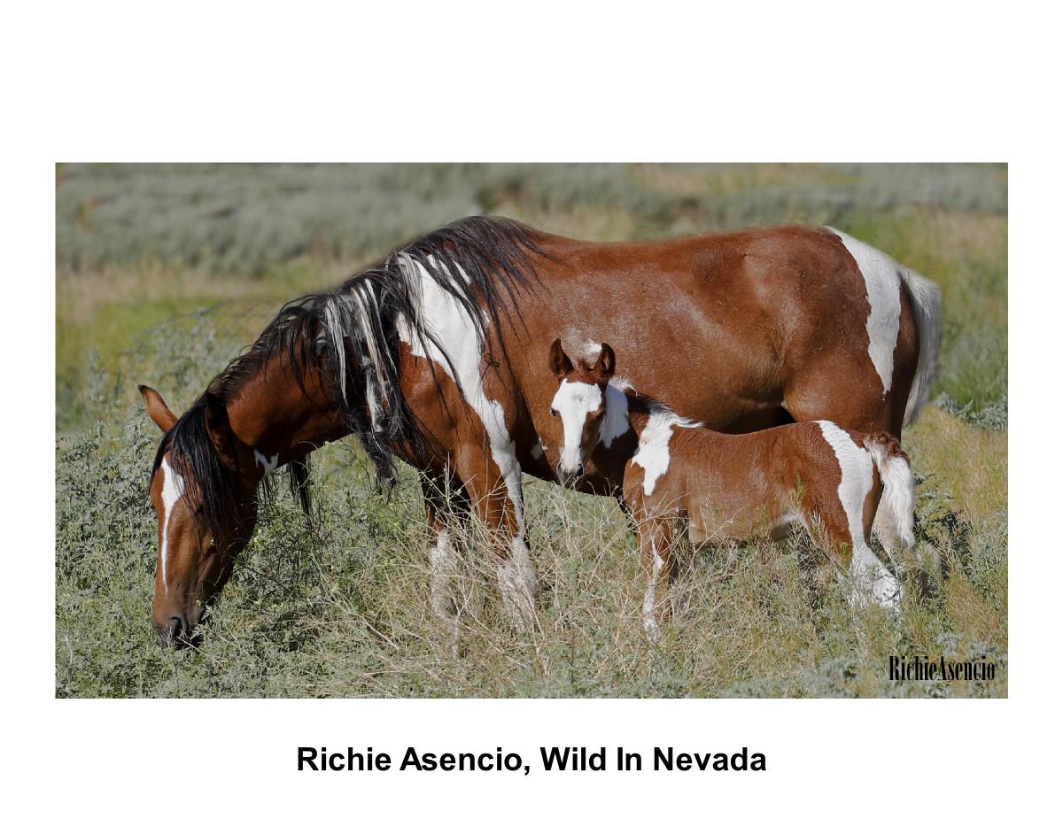 Richie Asencio, Wild In Nevada 02