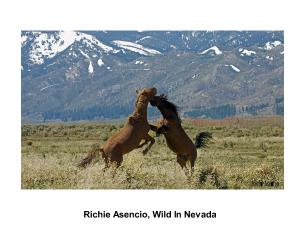 Richie Asencio Wild In Nevada 04