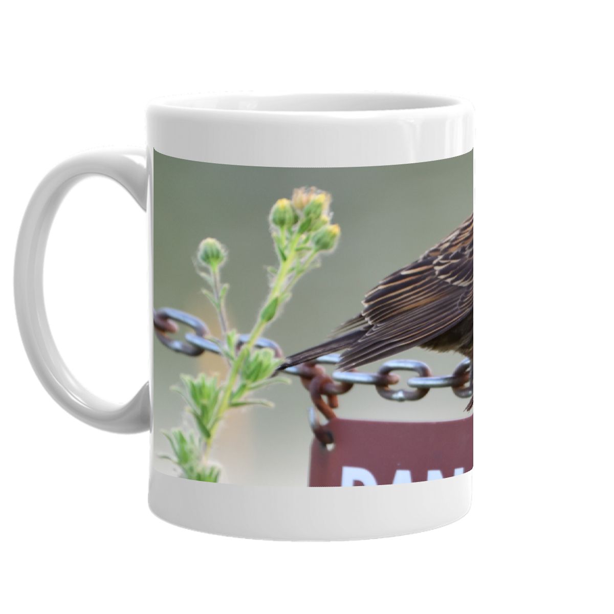 Youth Red-winged Blackbirds 2023 mug