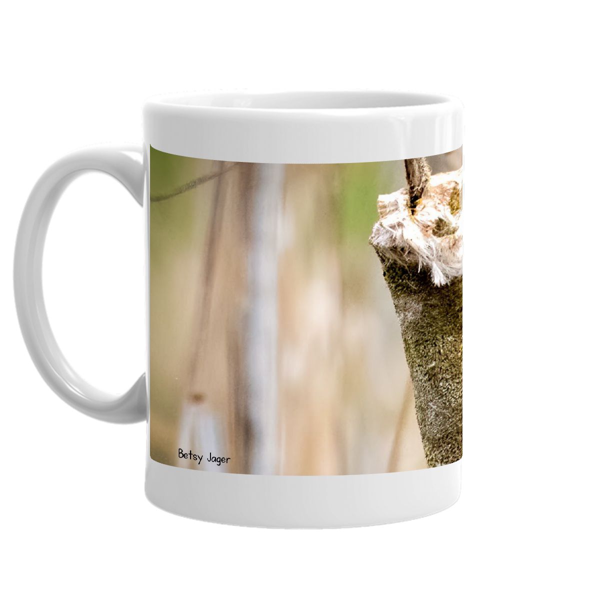2022 Rufous Hummingbird Mug