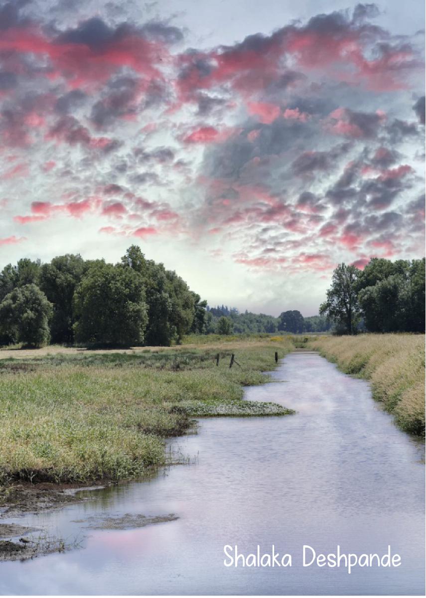 2022 Pink Clouds over the Refuge photo card