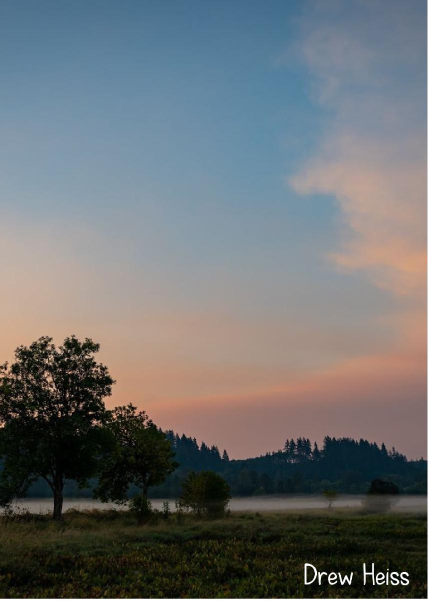 2022 Ground Fog Sunrise photo card