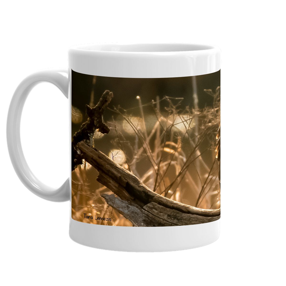 2022 Northern Harrier mug
