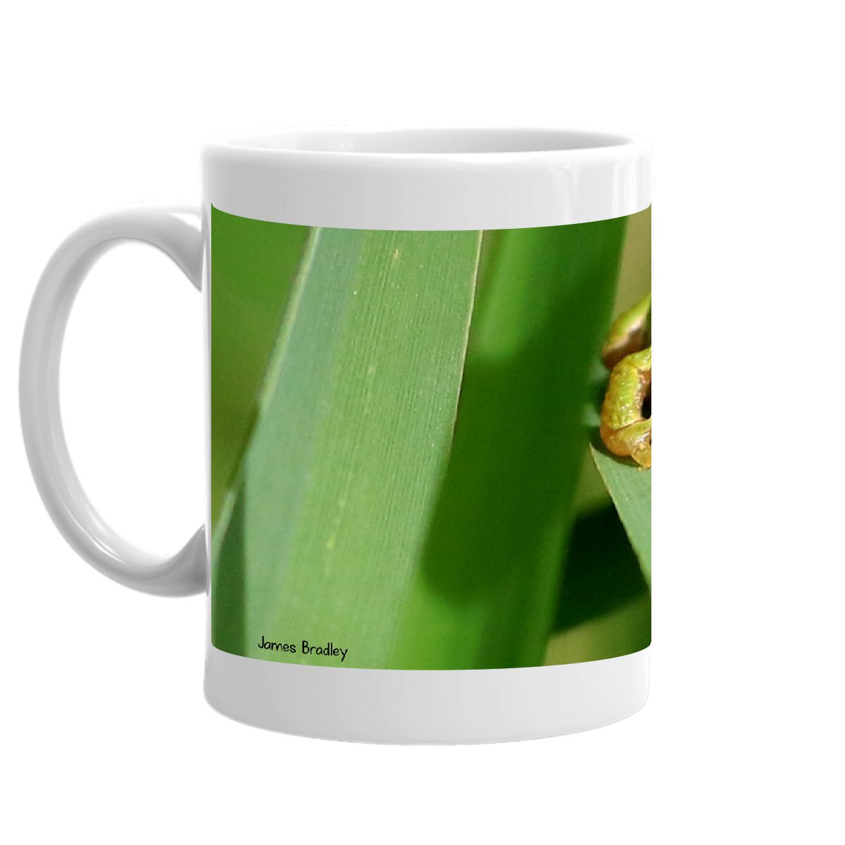 2022 Pacific Chorus Frog mug